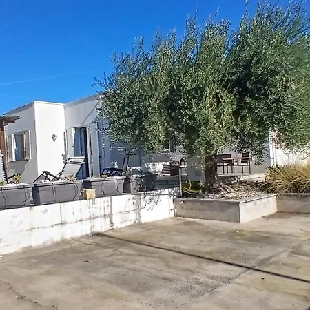 Sa Zirighetta * ساريستو سوغليري